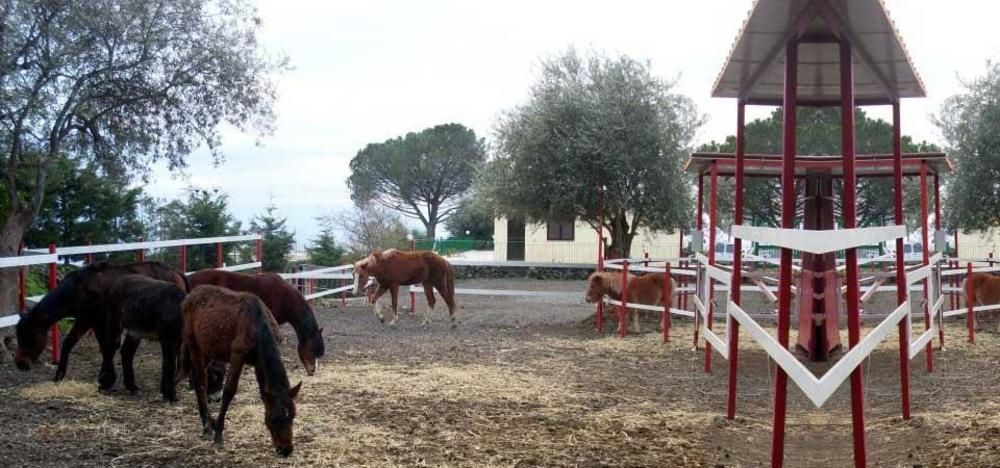 Ore Felici Park Ξενοδοχείο Mascali Εξωτερικό φωτογραφία